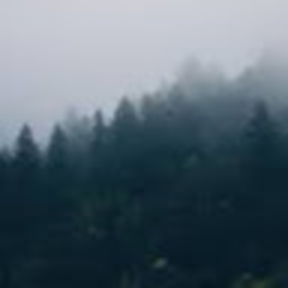 Meet your Posher, Amber and elliott